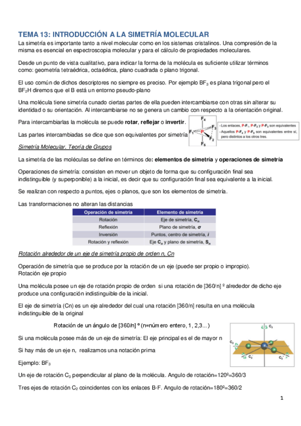Miniatura del documento TEMA-13.pdf
