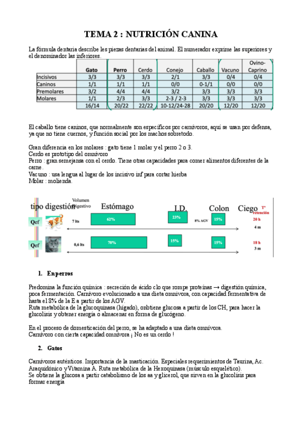 Miniatura del documento T2-CANINO.pdf