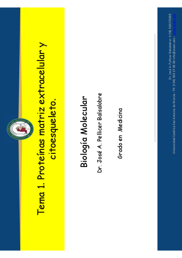 Miniatura del documento Tema-1.pdf