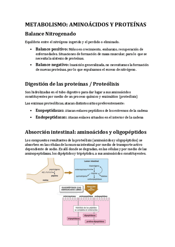 Miniatura del documento Bloque11pdf.pdf