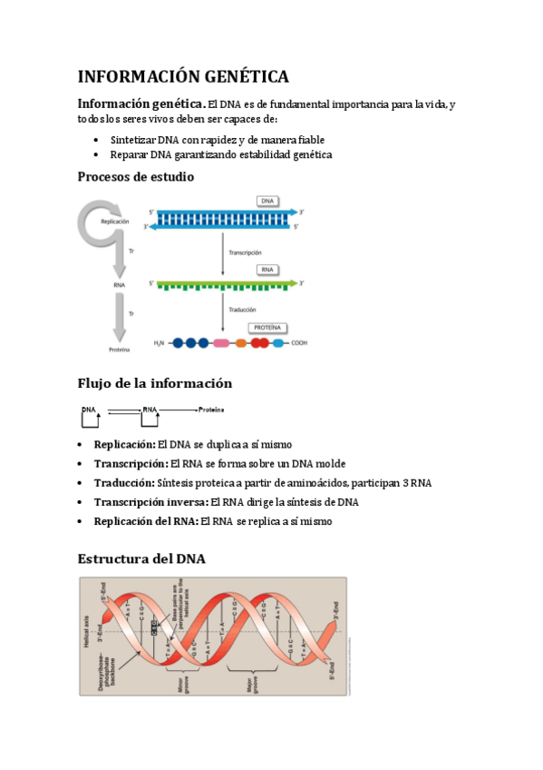 Miniatura del documento INFORMACION-GENETICA.-I.pdf