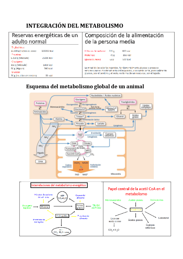 Miniatura del documento Bloque14.pdf