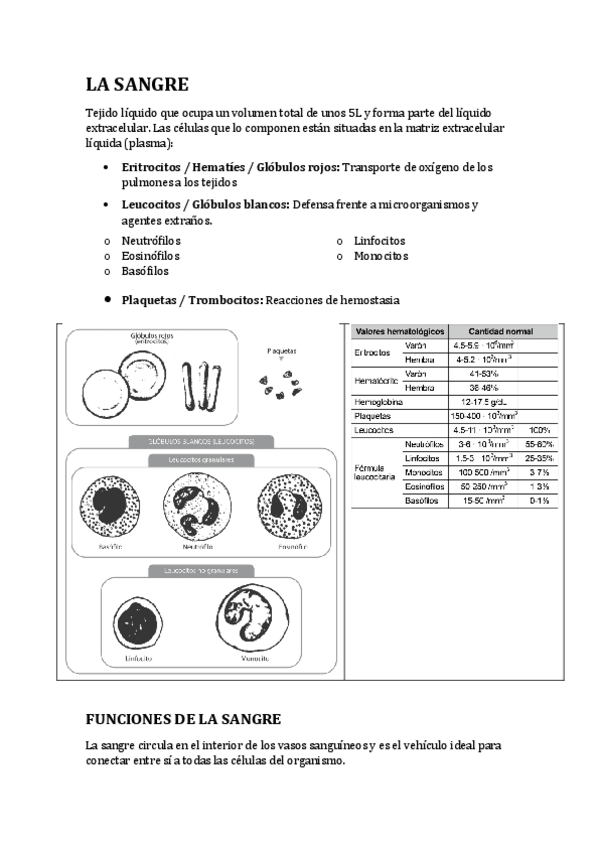 Miniatura del documento Lasangrepdf.pdf