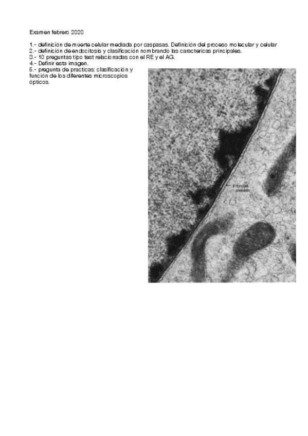 Miniatura del documento examen-febrero-2020.pdf