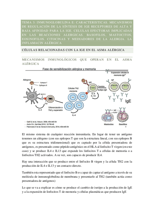 Miniatura del documento TEMA-3.pdf
