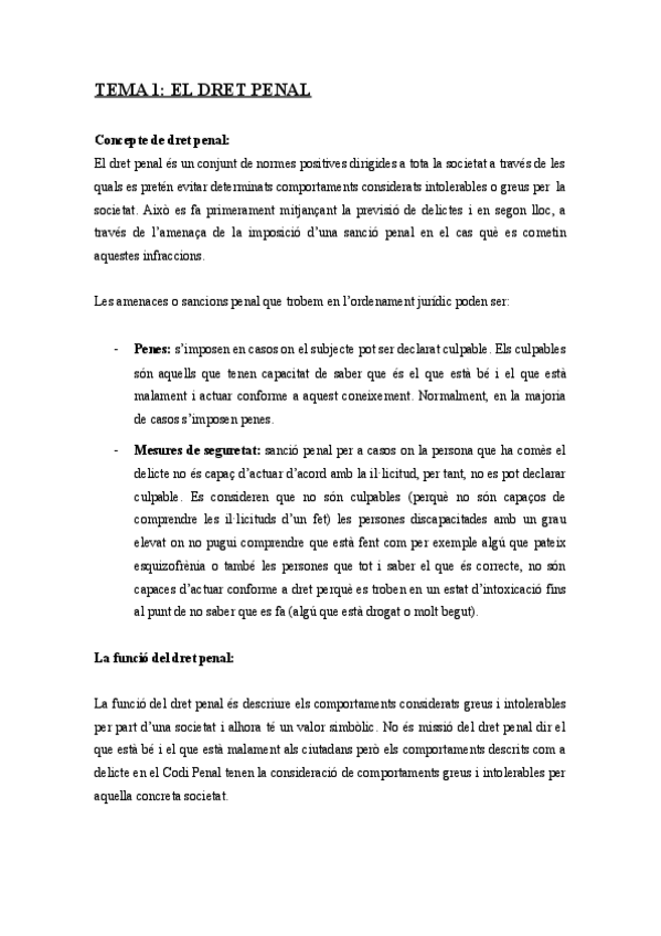 Miniatura del documento Dret-penal-1r-parcial.pdf