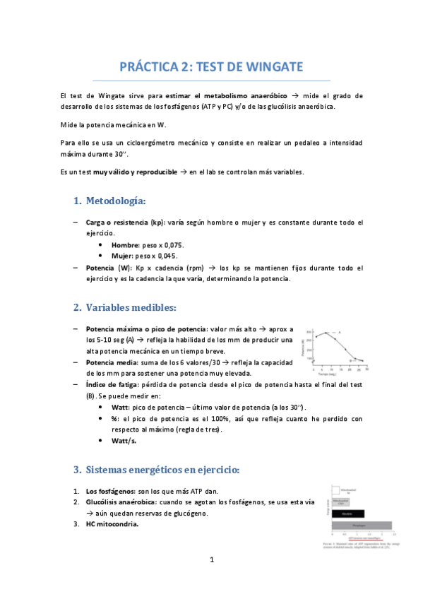 Miniatura del documento PRACTICA-2-TEST-DE-WINGATE.pdf