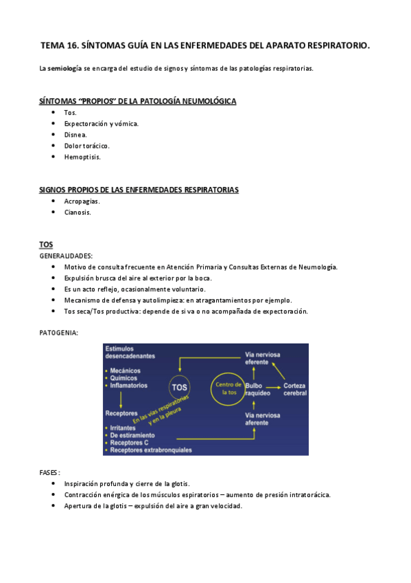 Miniatura del documento Tema 16.pdf