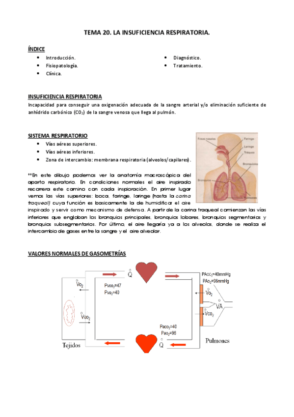 Miniatura del documento Tema 20.pdf
