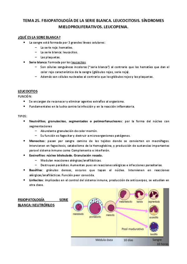 Miniatura del documento Tema 25.pdf