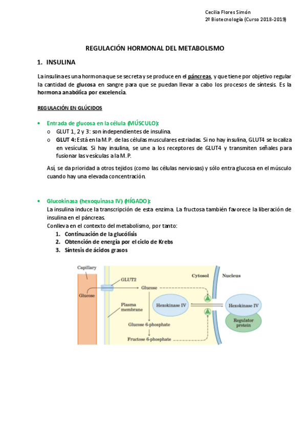 Miniatura del documento CFS.pdf