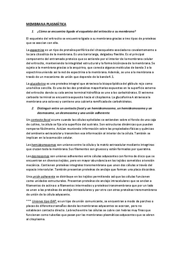 Miniatura del documento Posibles-preguntas-de-examen-respondidas.pdf