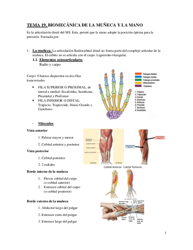 Miniatura del documento Tema-19.pdf