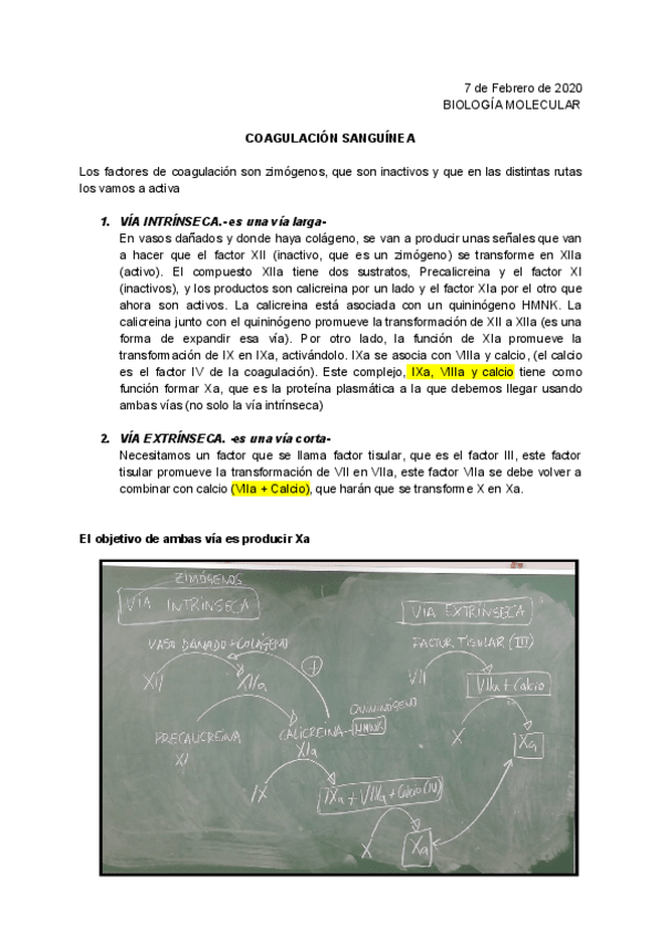 Miniatura del documento COAGULACION.pdf