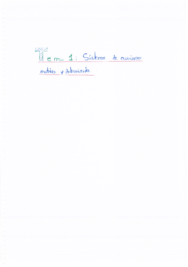 Miniatura del documento TEMA-1-Sistemas-de-ecuaciones-matrices-determinante.pdf