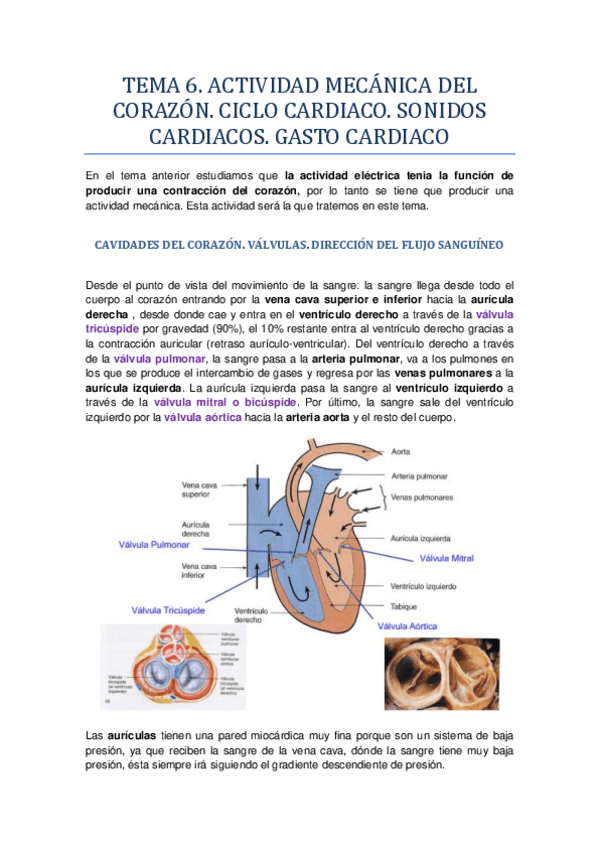 Miniatura del documento TEMA 6.pdf