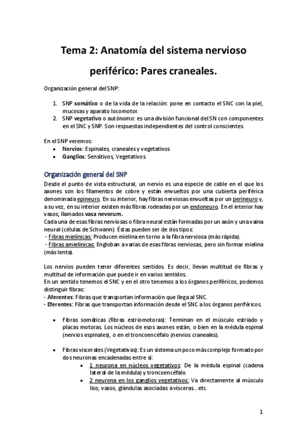 Miniatura del documento Tema-2-Anatomia-del-SNP.pdf