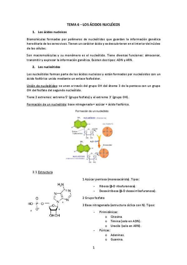 Miniatura del documento Tema-6.pdf