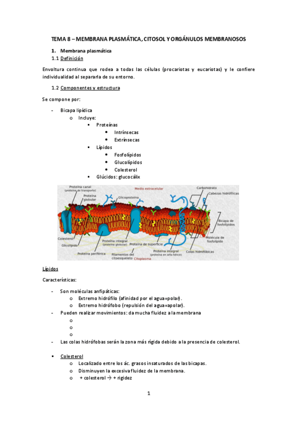 Miniatura del documento Tema-8.pdf