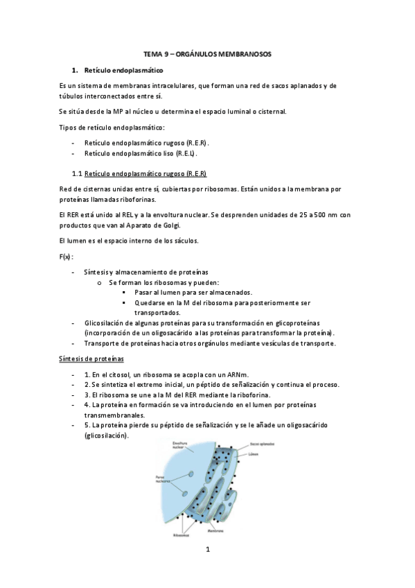 Miniatura del documento Tema-9.pdf