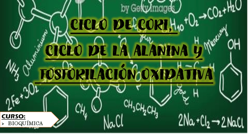 Miniatura del documento CICLO-DE-CORI-CICLO-DE-ALANINA-Y-FOSFORILACION-OXIDATIVA.pdf