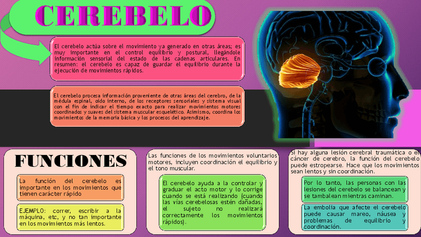 Miniatura del documento Alteraciones-de-cerebelo.pdf