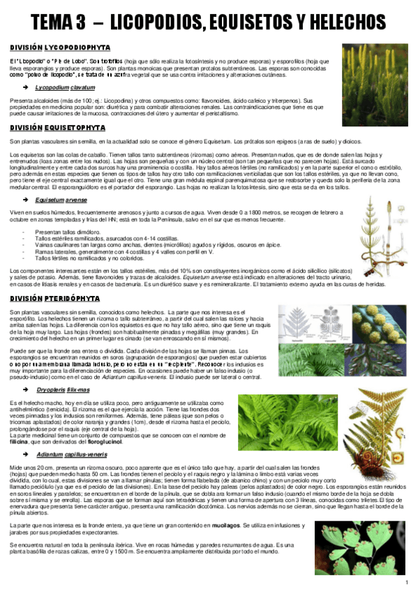 Miniatura del documento TEMA 3 - BOT. MEDICINAL.pdf