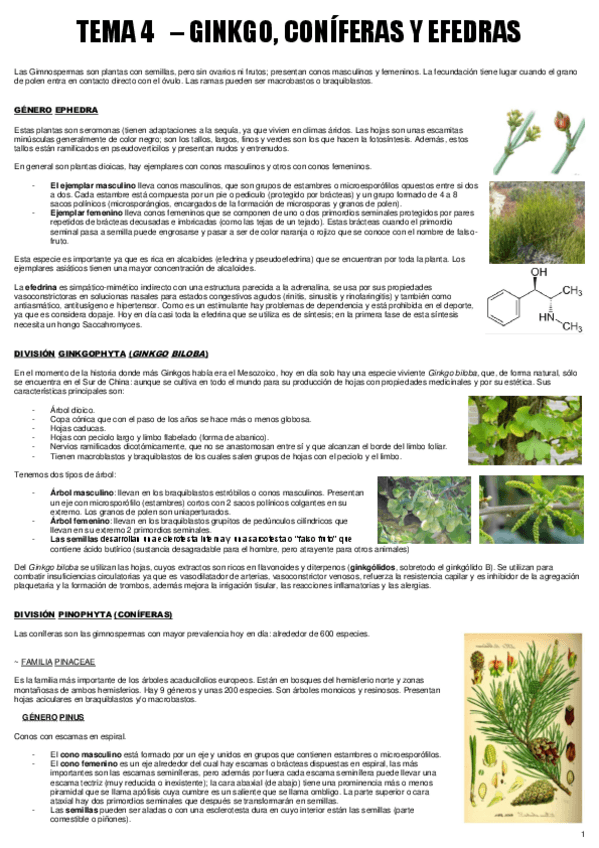 Miniatura del documento TEMA 4 - BOT. MEDICINAL.pdf