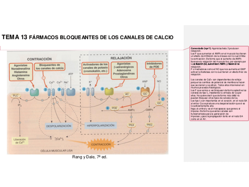 Miniatura del documento Tema-13-1.pdf