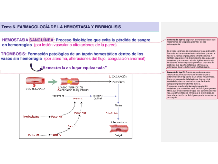 Miniatura del documento Tema-6.pdf