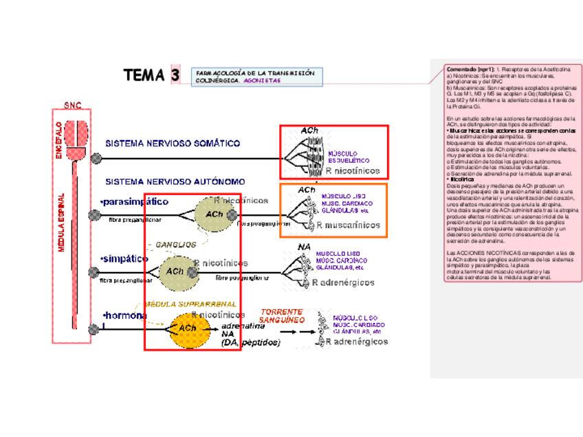 Miniatura del documento Tema-3.pdf