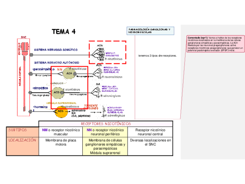 Miniatura del documento Tema-4.pdf