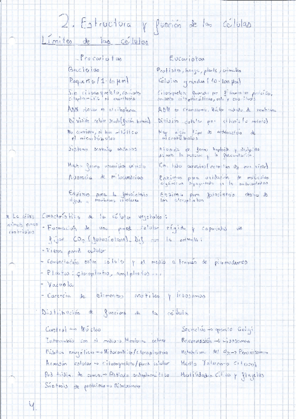 Miniatura del documento Resumen.pdf