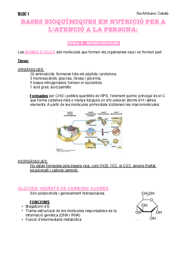 Miniatura del documento T2-B1-NUTRI.pdf