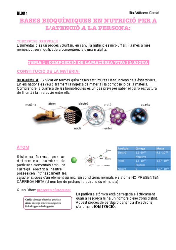 Miniatura del documento T1-B1-NUTRI.pdf