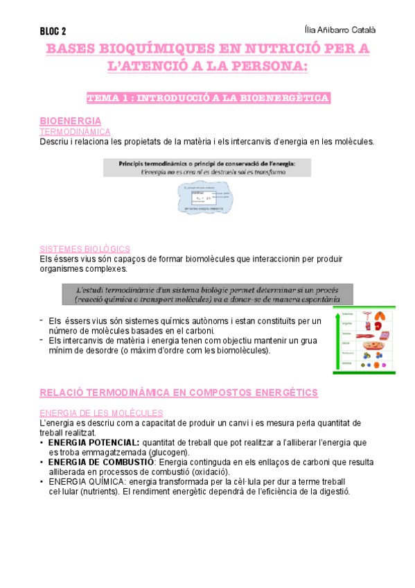 Miniatura del documento T1-B2-NUTRI.pdf