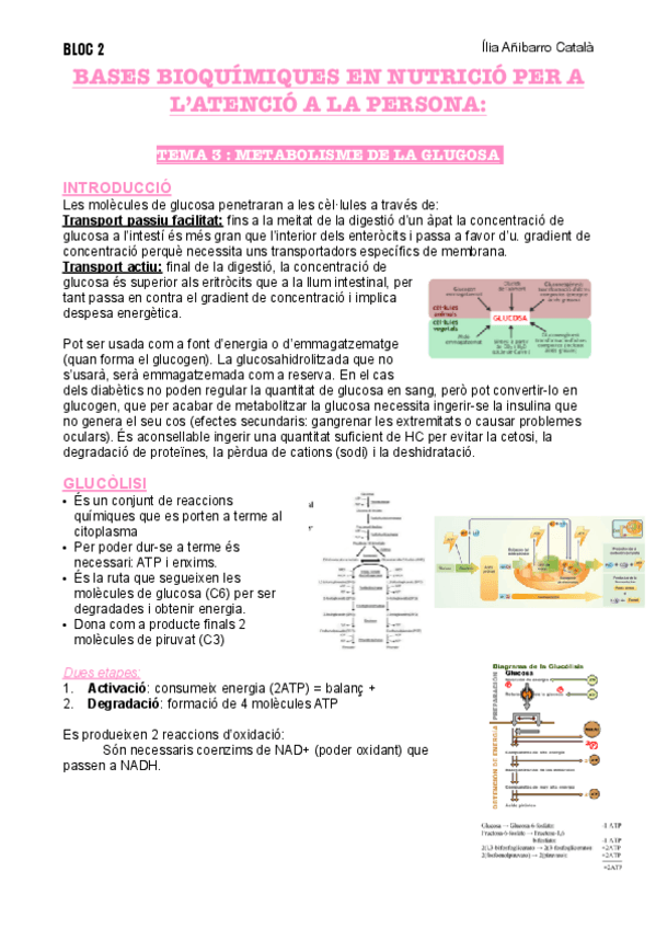 Miniatura del documento T3-B2-NUTRI.pdf