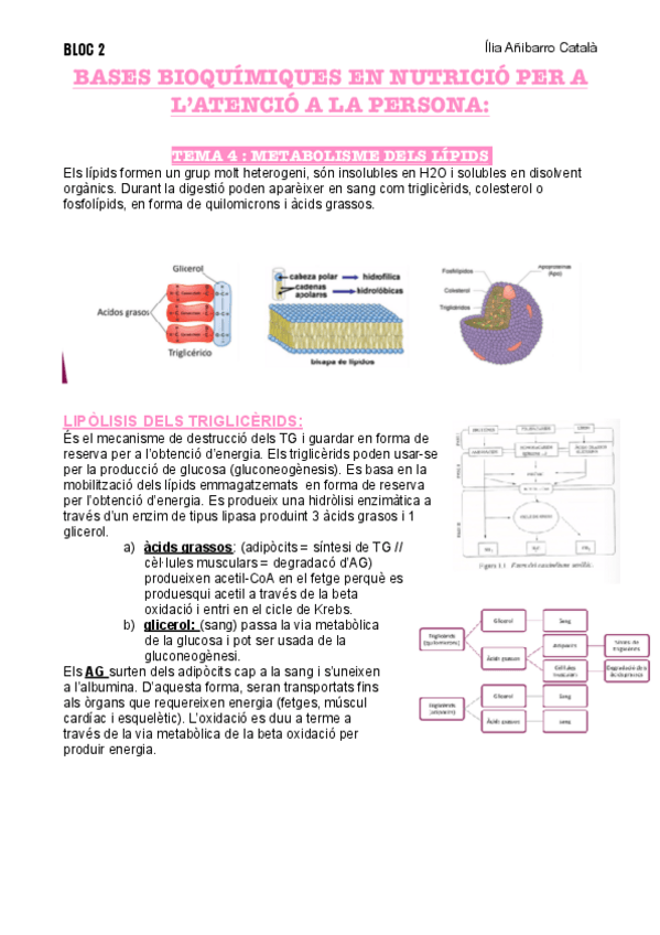 Miniatura del documento T4-B2-NUTRI.pdf