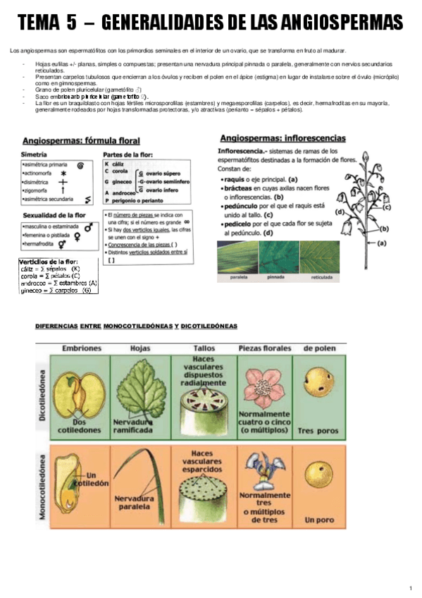 Miniatura del documento TEMA 5  - BOT MEDICINAL.pdf