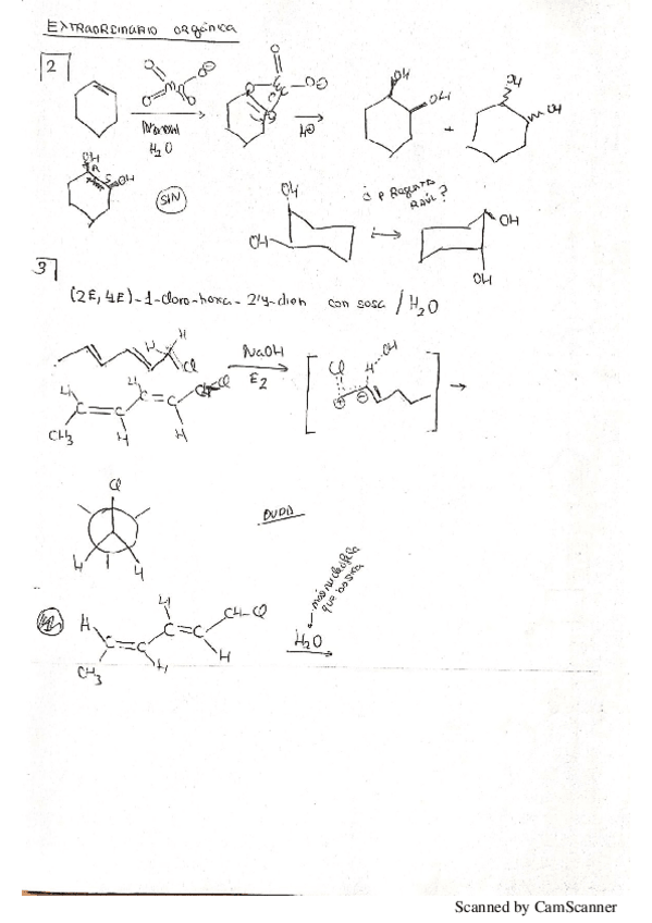 Miniatura del documento Extraordinario-Organica-I.pdf