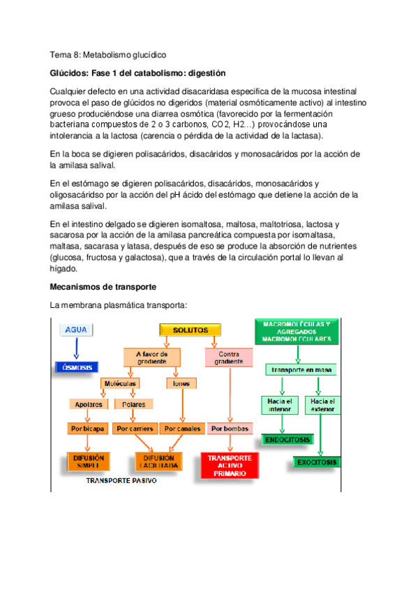 Miniatura del documento TEMA-10-BIOQ.pdf