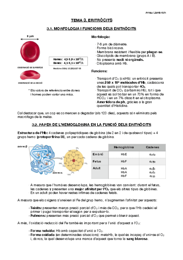 Miniatura del documento Apunts-Fisiologia-i-Fisiopatologia-II-Tema-3.pdf