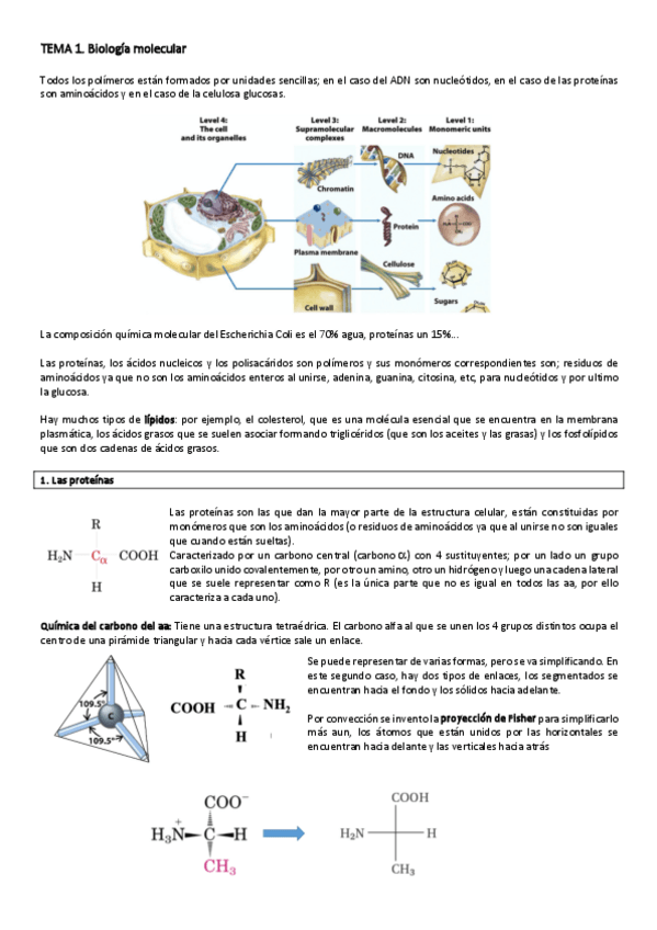 Miniatura del documento 1.pdf