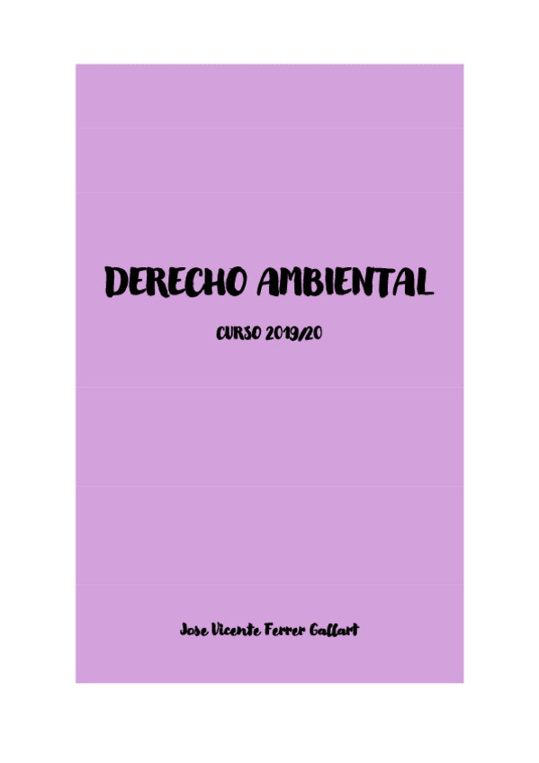 Miniatura del documento APUNTES-DERECHO-AMB-1920.pdf