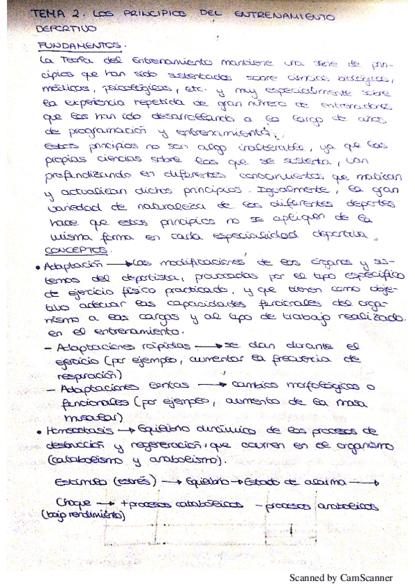 Miniatura del documento Principios-del-entrenamiento-deportivo.pdf