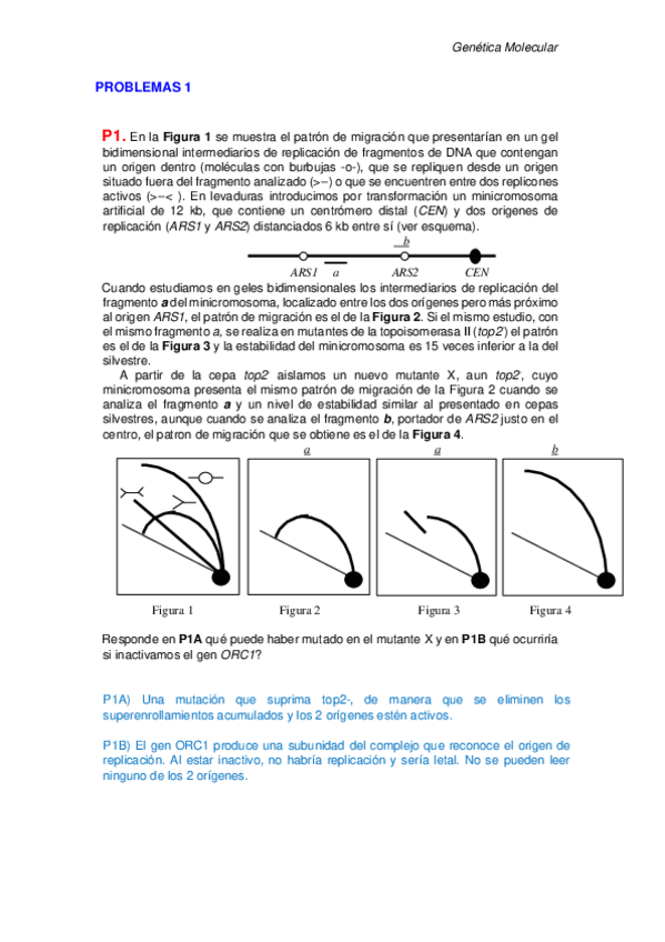 Miniatura del documento SOLUCIONES-SERIE-1.pdf