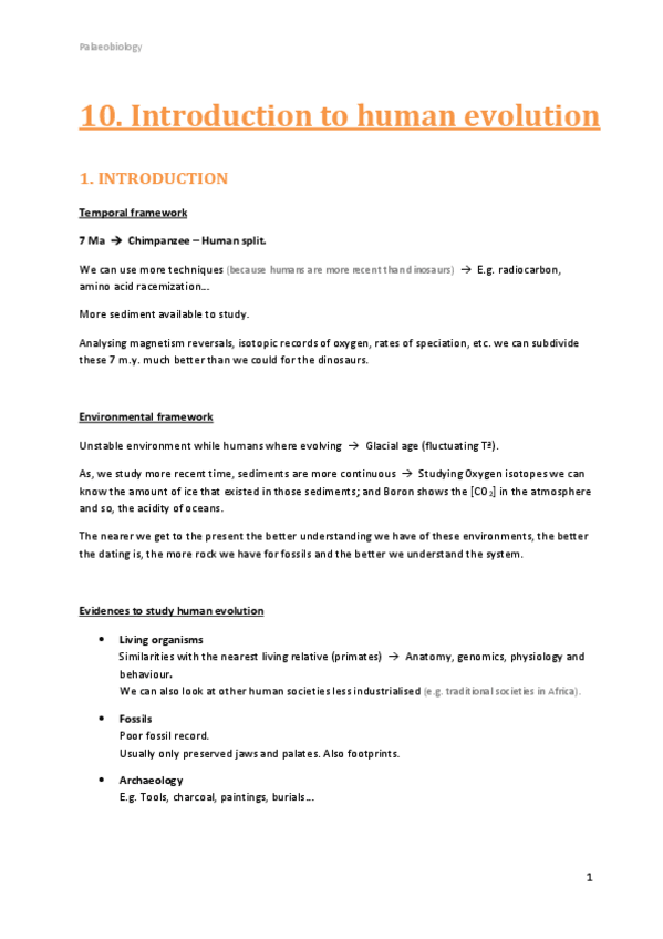 Miniatura del documento 10.pdf