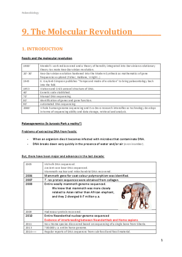 Miniatura del documento 9.pdf