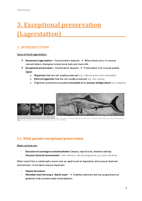 Miniatura del documento 3.pdf