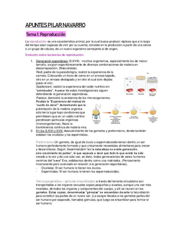 Miniatura del documento APUNTES-PILAR-NAVARRO.pdf
